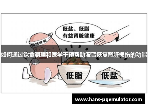 如何通过饮食调理和医学干预帮助波普恢复肾脏损伤的功能