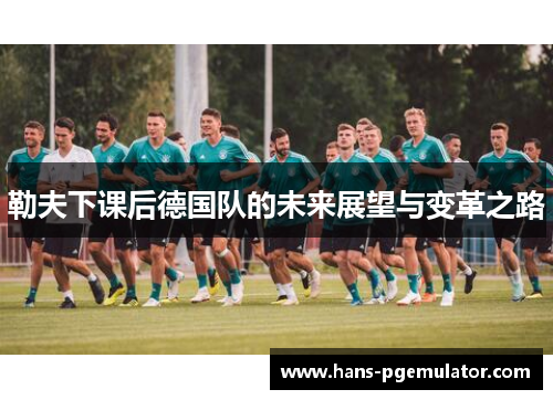 勒夫下课后德国队的未来展望与变革之路