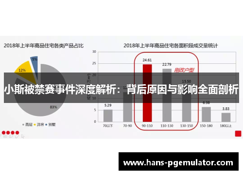小斯被禁赛事件深度解析：背后原因与影响全面剖析