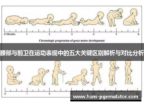 腰部与前卫在运动表现中的五大关键区别解析与对比分析