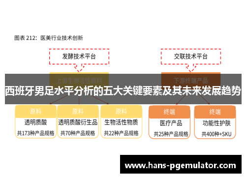 西班牙男足水平分析的五大关键要素及其未来发展趋势