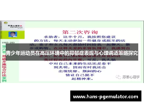 青少年运动员在高压环境中的抑郁症表现与心理调适策略探究
