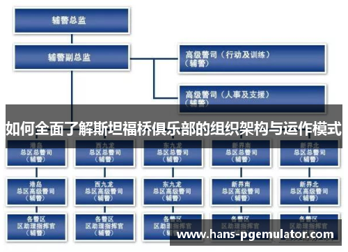 如何全面了解斯坦福桥俱乐部的组织架构与运作模式